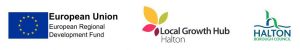 Halton-Borough-Council-Business-Growth- Programme-logos